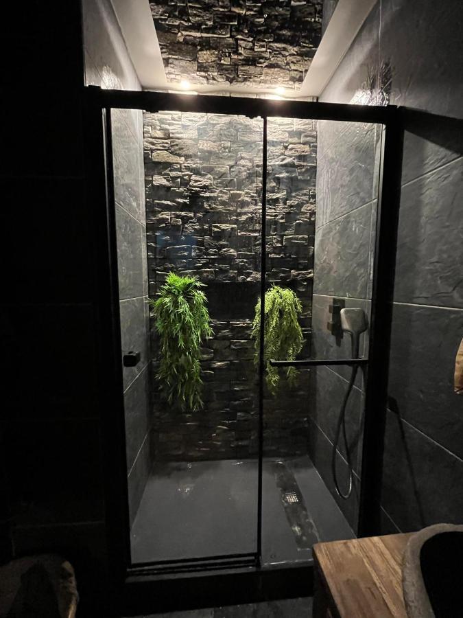 Appartement Haussmannien A 200M Des Halles. Narbonne Exteriör bild